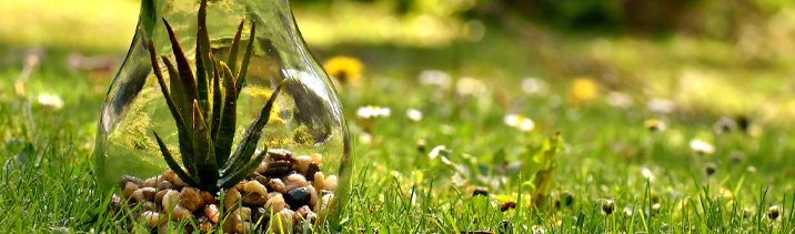 Подключать садовые участки к электросетям стало проще